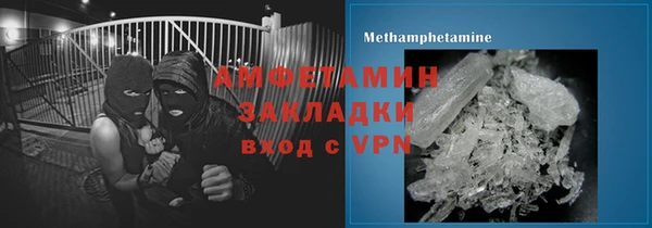 прущие грибы Нефтекумск