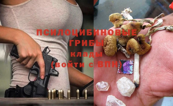 спайс Абаза