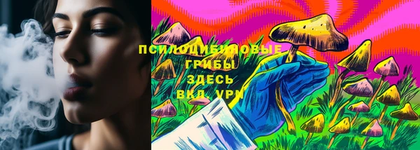 СК Абинск